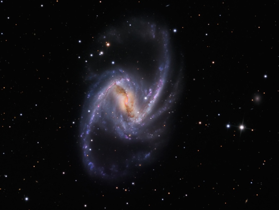 NGC1365