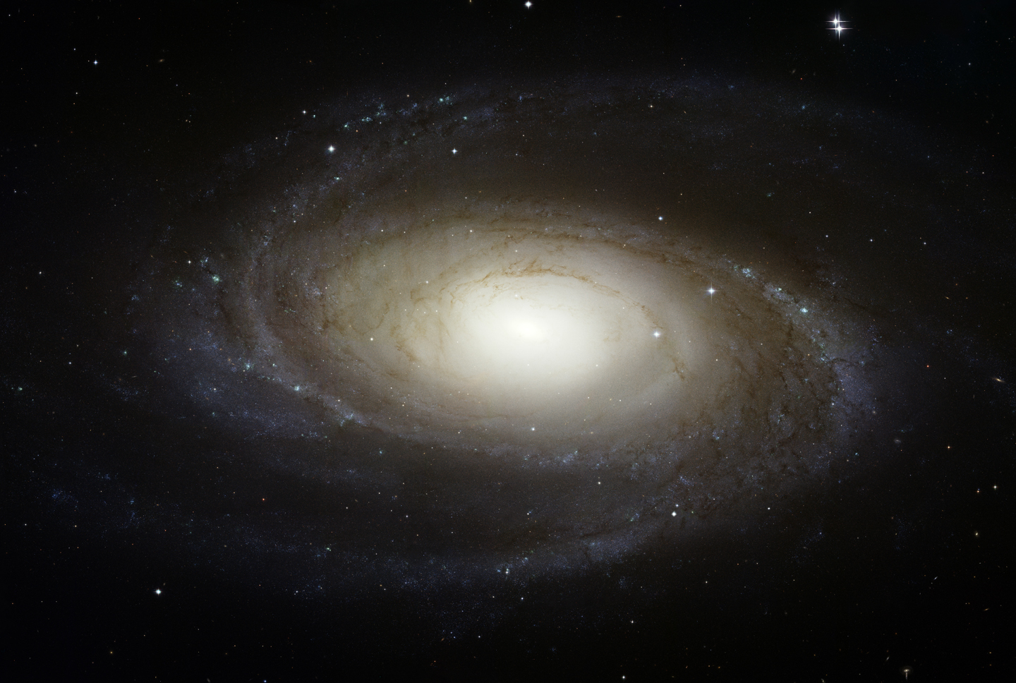 m81_hst_big