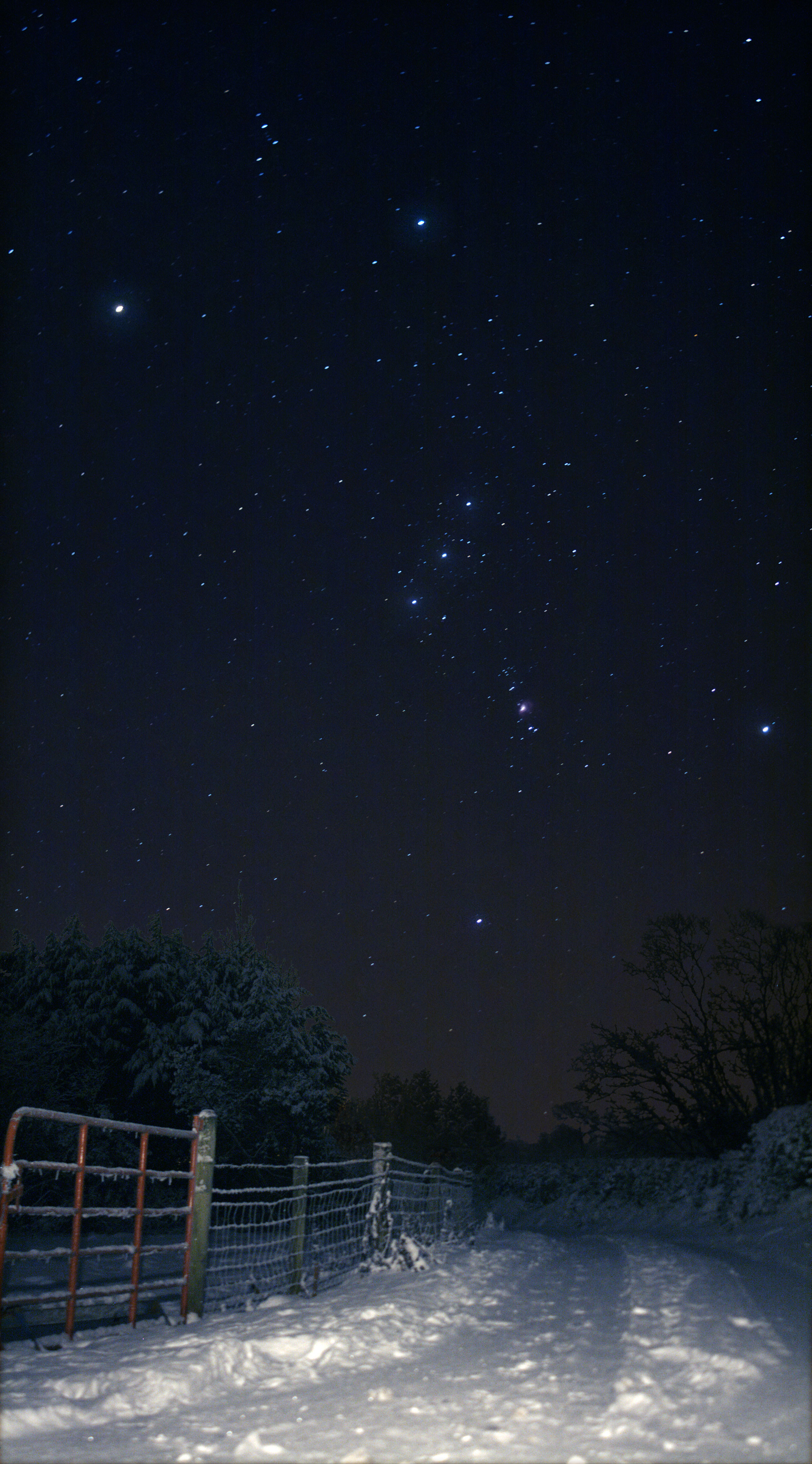 snowyorion_alexander_big