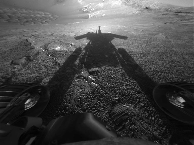 shadow_opportunity