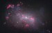 NGC4449_hlaGendlerL